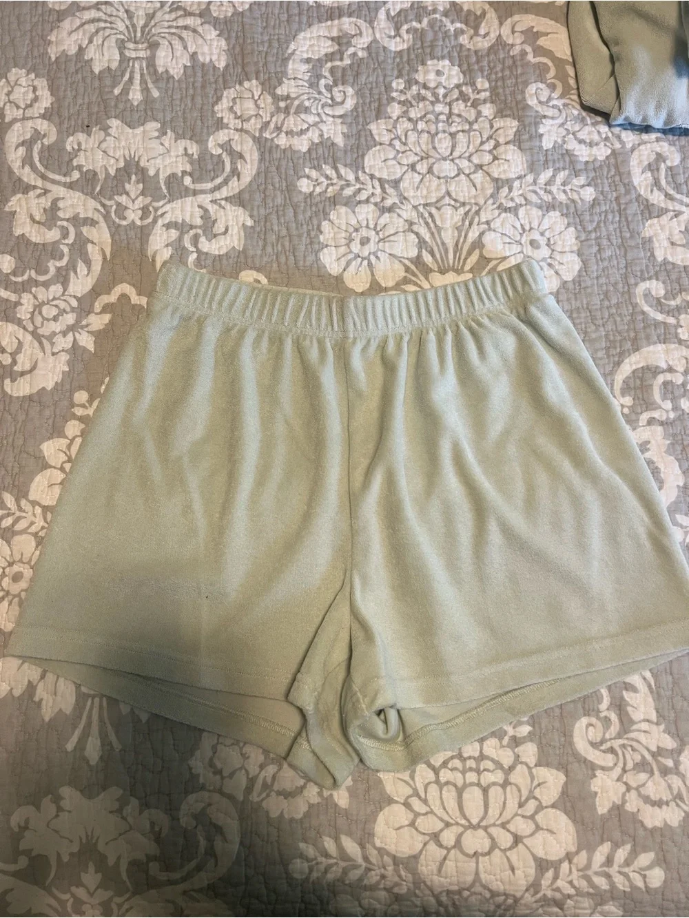 Aritzia Light Sage Green Hoodie Sweatshirt, Tshirt, Shorts Set